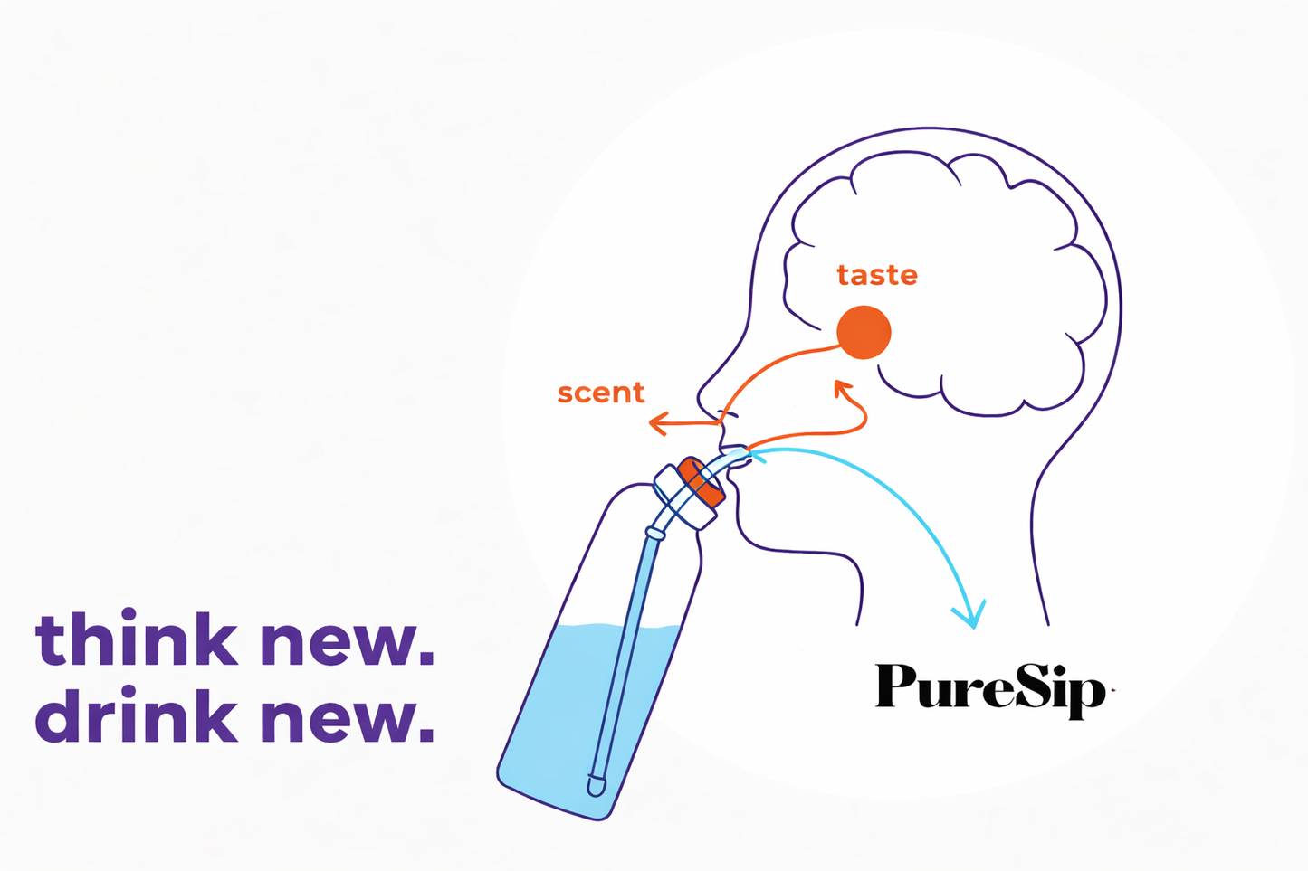 PureSip Scented Flavour Water Bottle 750ml (Green Purple) & 3 Scented Pods